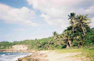 7432770-r1-042-19a.jpg